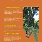 Holiday home Maison Naturaly Laprade (Charente)
