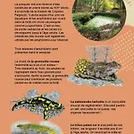 Maison Naturaly Laprade (Charente)