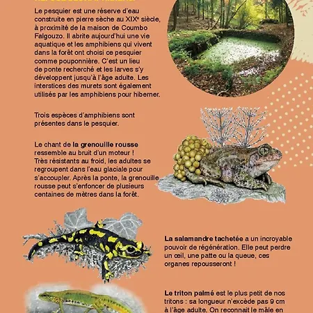 Maison Naturaly Laprade