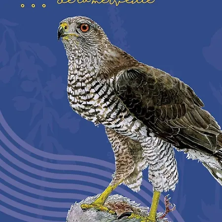 Maison Naturaly 別荘 Laprade