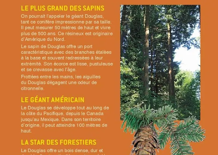 펜션 Maison Naturaly Laprade (Charente)