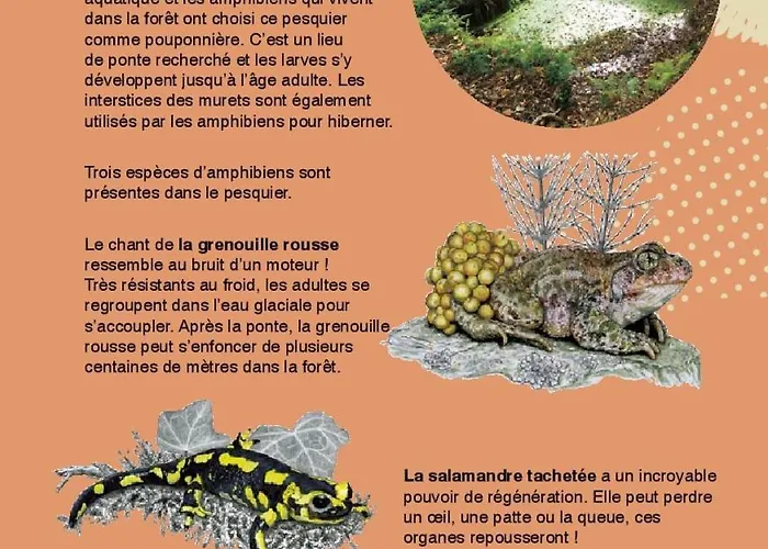 Maison Naturaly Laprade (Charente)