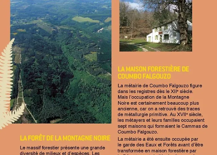 Maison Naturaly 펜션