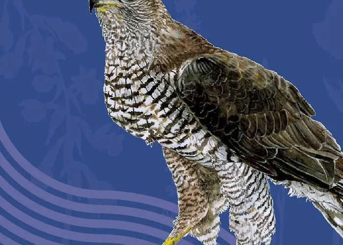 Maison Naturaly 펜션 Laprade (Charente)